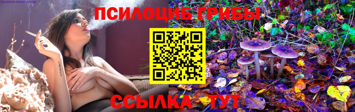 Галлюциногенные грибы Cubensis  Вход с VPN  Тайшет  Псилоцибиновые грибы мухоморы 